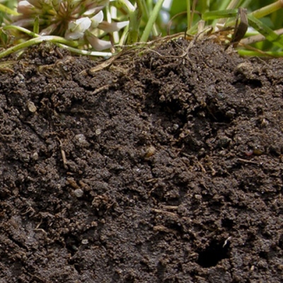 Wijzigingsbesluit voor gebiedsspecifiek beleid PFAS