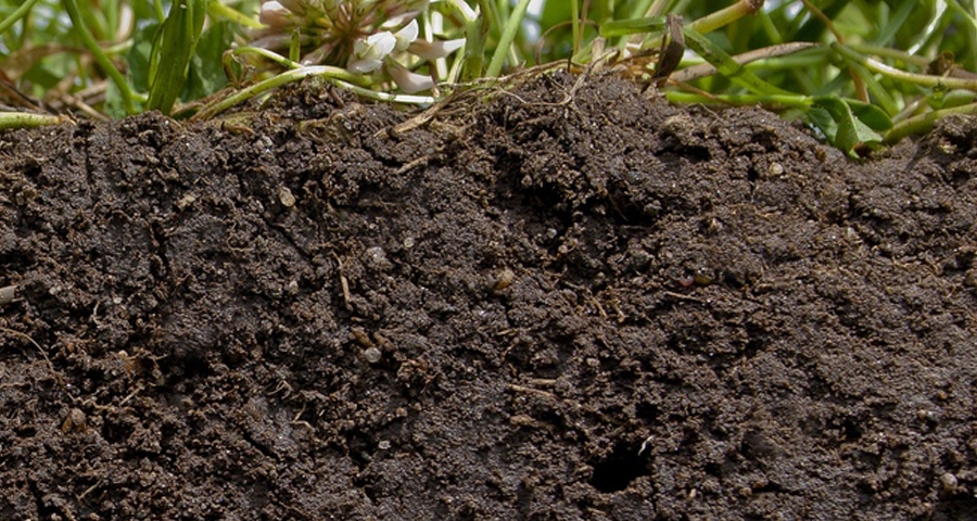 Wijzigingsbesluit voor gebiedsspecifiek beleid PFAS